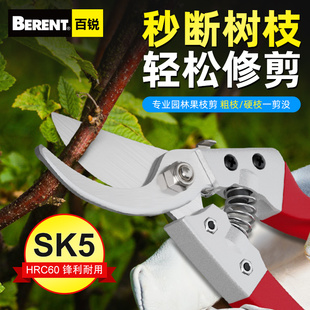 百锐园艺剪刀修剪树枝剪刀园林花艺修剪果树修枝剪剪树枝专用剪刀