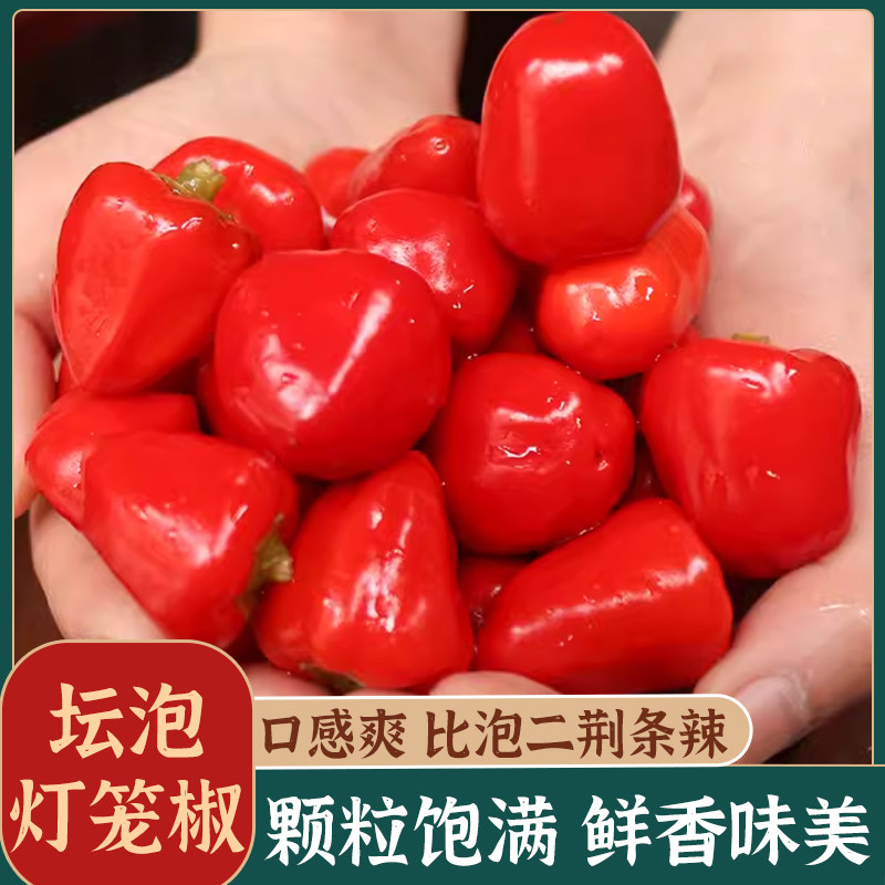 四川特产泡灯笼椒泡椒泡圆辣椒珠子椒配料老坛泡菜厨房调味料350g