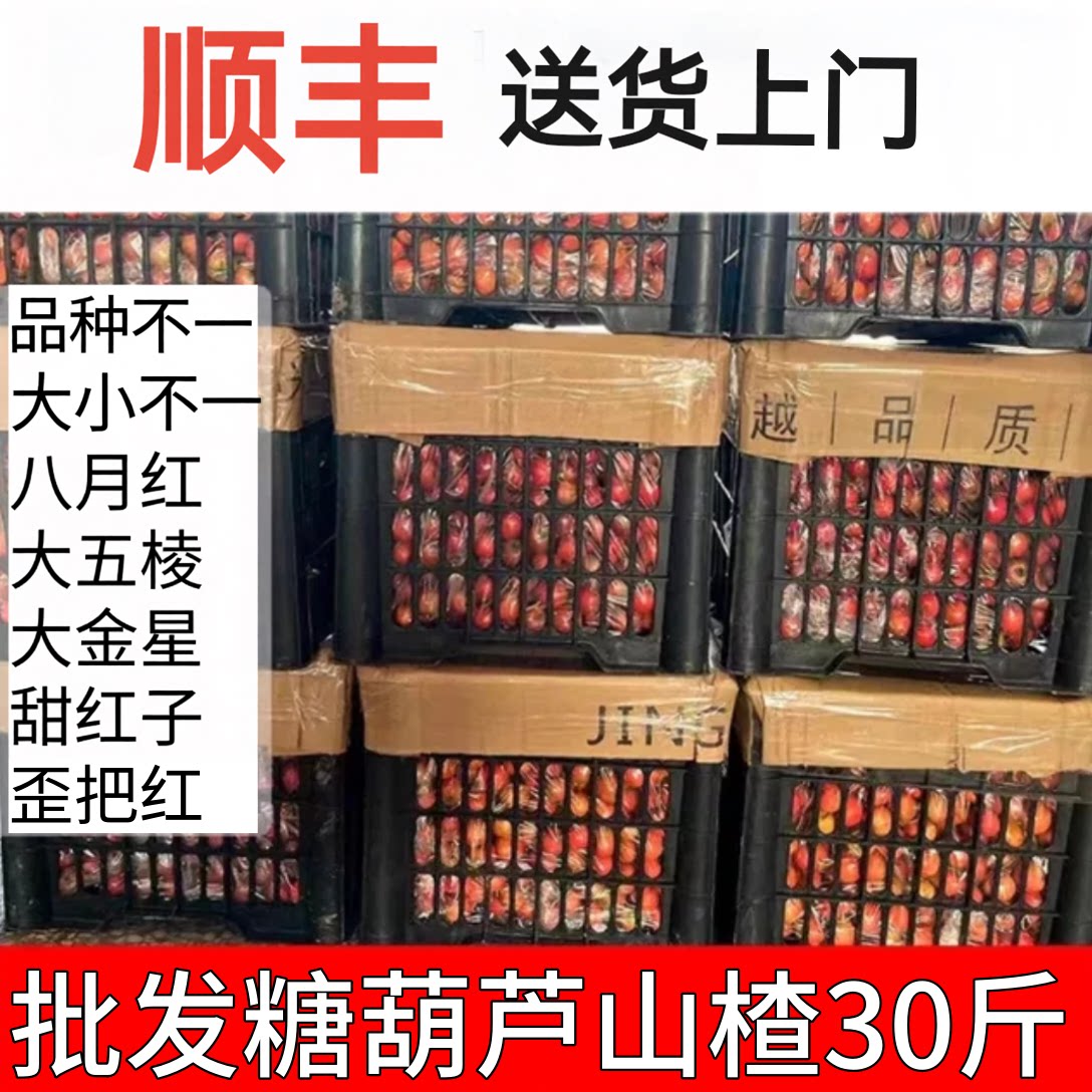 鲜山楂上市新鲜现摘批大山楂山里红果山楂果冰糖葫芦金星带框