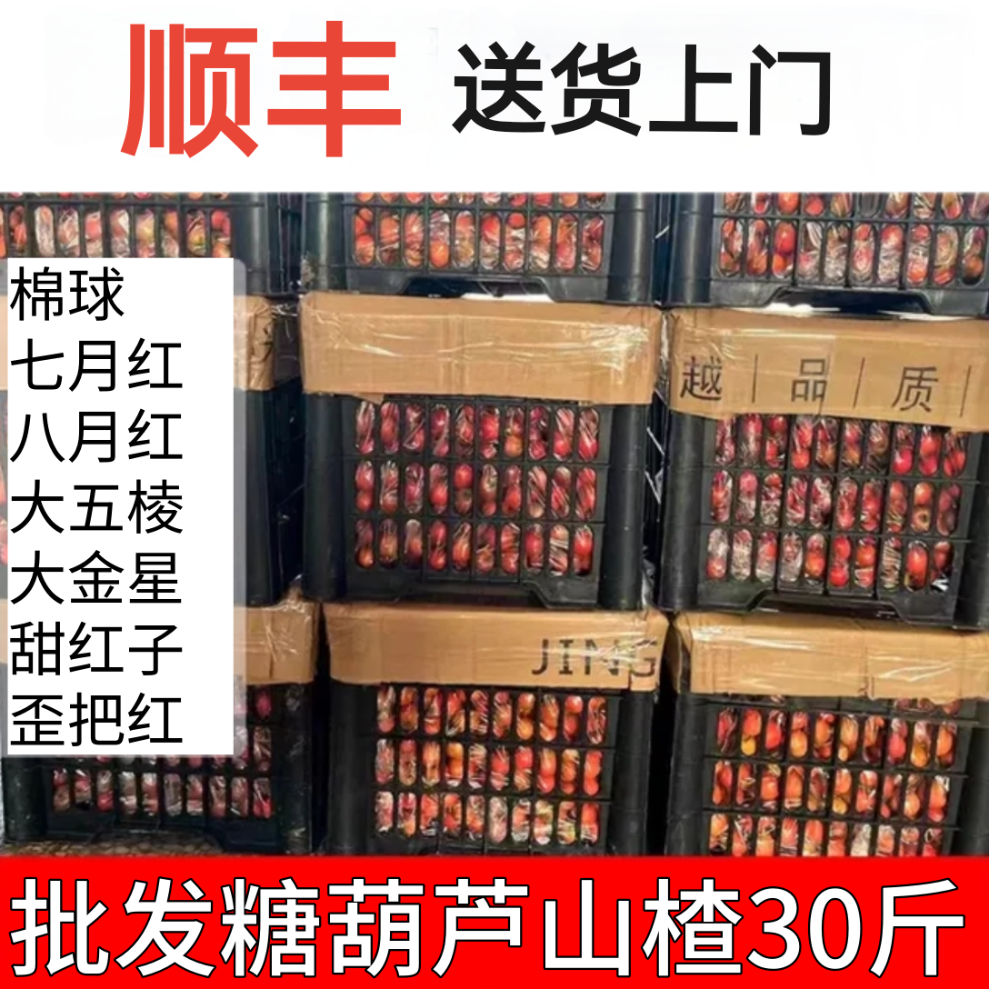 鲜山楂上市新鲜现摘批大山楂山里红果山楂果冰糖葫芦金星带框