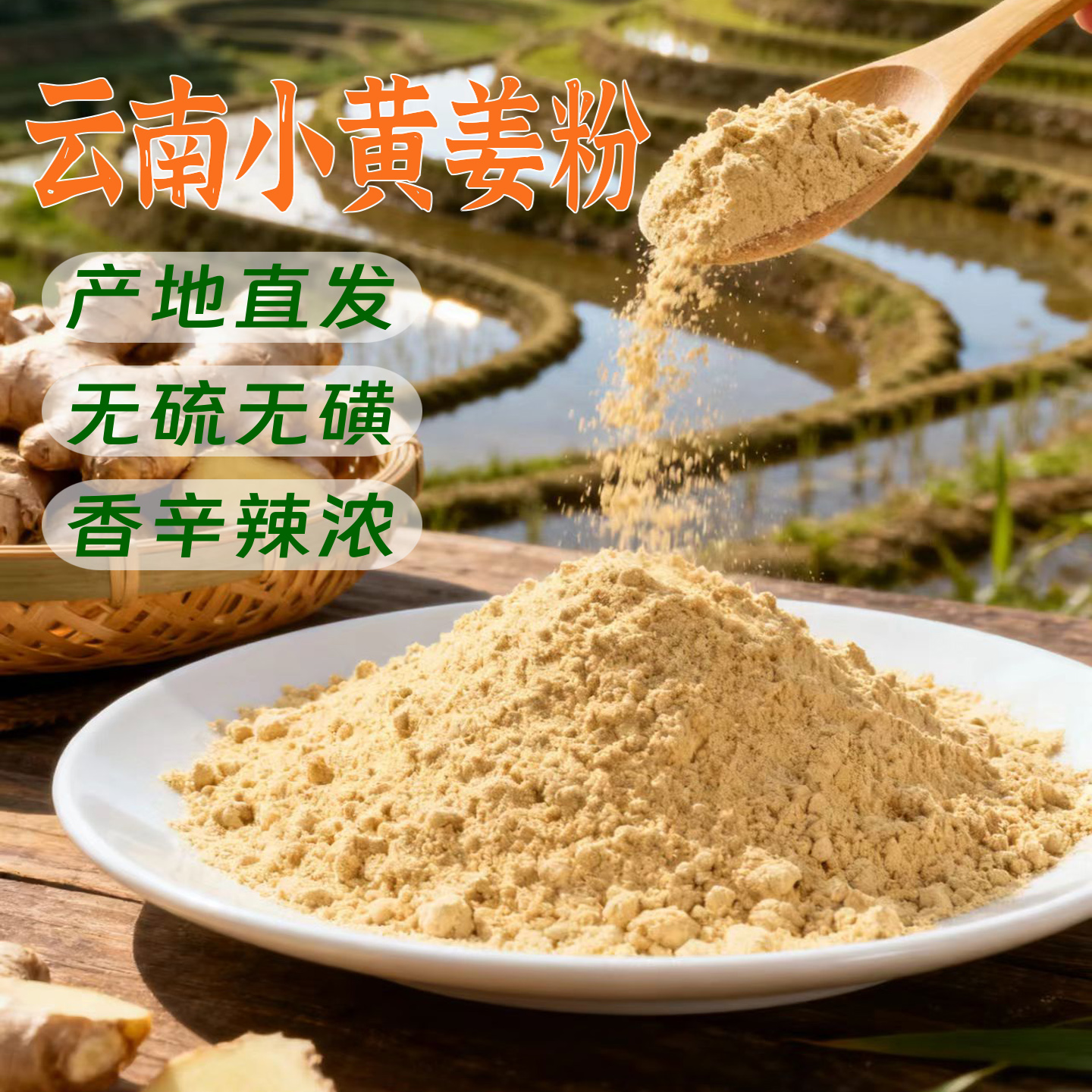 云南罗平小黄姜粉生姜纯姜粉