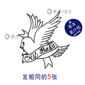 草本果汁利尔·皮普Lil 包邮 Peep纹身贴纸鸽子和平鸽Cry Baby五张