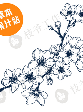 草本果汁贴桃花劫纹身贴桃花樱花招桃花运锁骨花朵古风防水持久