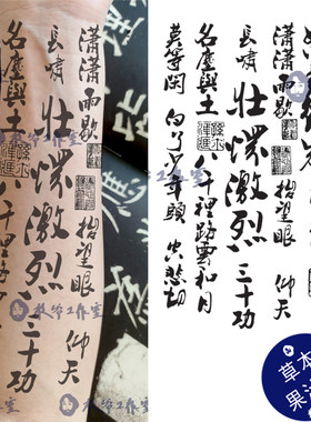 草本果汁满江红岳飞纹身贴