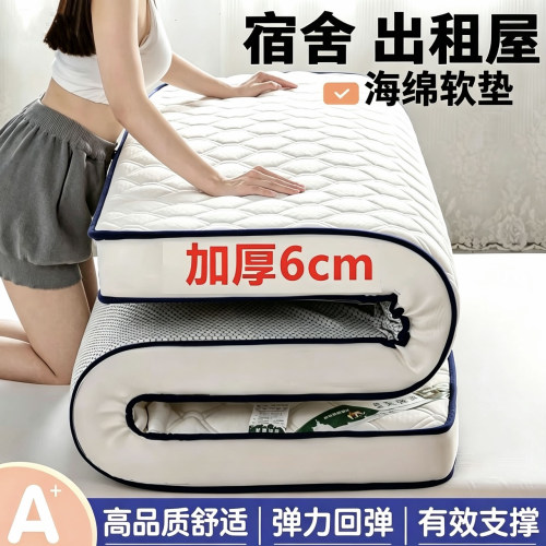 可以直接睡的床垫铺地的放地上软垫出租屋防潮睡觉专用加厚不塌陷