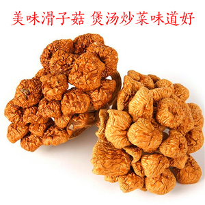 四川特产滑子菇剪脚山货小香菇蘑菇山珍菌干货500g山珍珍珠菇滑菇