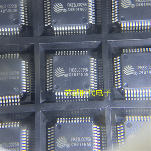 全新原装 FM复旦微FM33LC025N 封装LQFP-48单片机ARM-M0内核 直拍