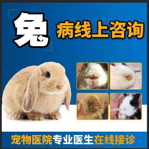 兔子宠物医生线上问诊看病咨询金丝熊生病拉肚子异宠生病治疗仓鼠