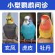 鹦鹉问诊鸟医生在线诊疗中心咨询异宠治疗生病看病虎皮牡丹玄凤