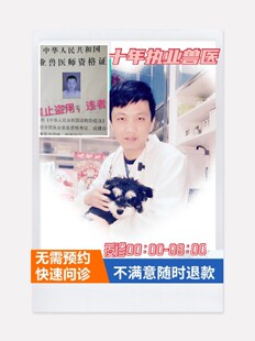 夜诊宠物医生在线24小时咨询中农动医猫咪狗狗问诊咨询兽医传染病