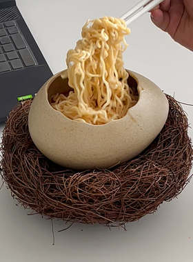 鸟巢蛋壳泡面碗稀奇古怪的蒸蛋碗学生宿舍一人食餐具小众闺蜜送礼