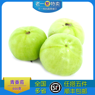 新鲜青番茄青西红柿绿番茄生番茄