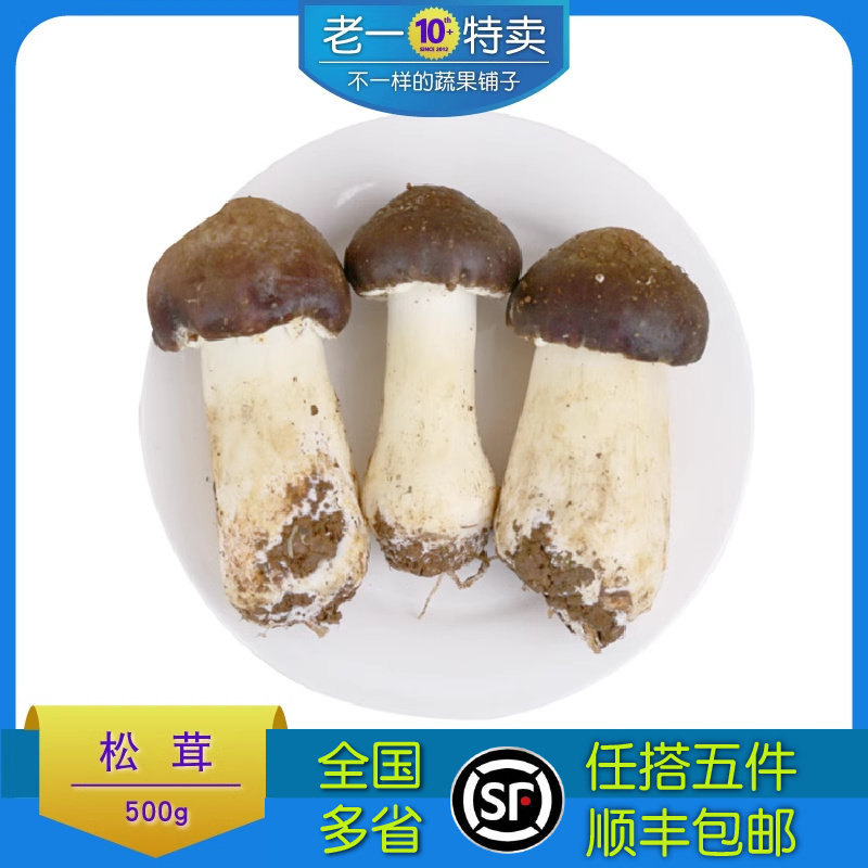 新鲜姬松茸 球盖菇 松茸菌 500g