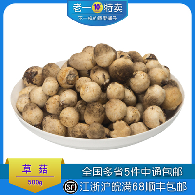 兰花500g常温冷藏新鲜菌菇