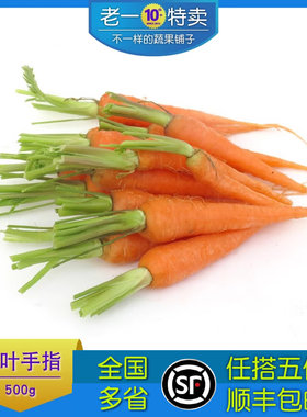 手指胡萝卜迷你胡萝卜