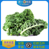 老一特卖 新鲜羽衣甘蓝叶杜丹绿叶花包菜Kale新鲜蔬菜 250g