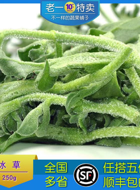 新鲜冰草沙拉生菜生吃凉拌菜