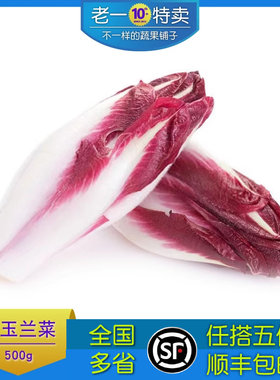 新鲜紫玉兰菜沙拉西餐食材