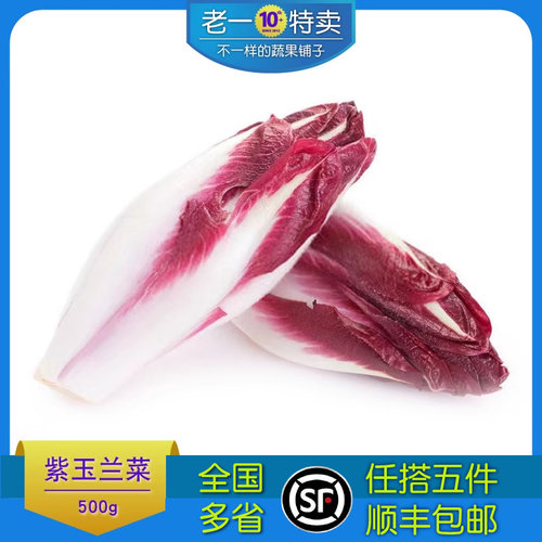 新鲜紫玉兰菜沙拉西餐食材