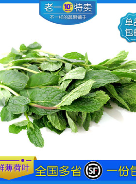 老一特卖新鲜薄荷叶500g全国多省包邮食用西餐调酒莫吉托薄荷叶