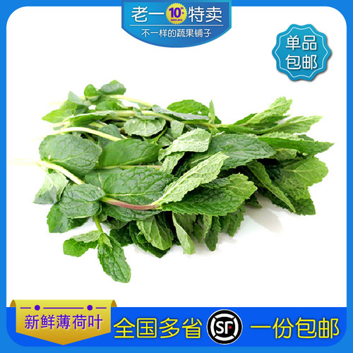 老一特卖新鲜薄荷叶500g全国多省包邮食用西餐调酒莫吉托薄荷叶