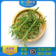 新鲜 包邮 香料 江浙沪中通5件 迷迭香食用250g 老一特卖