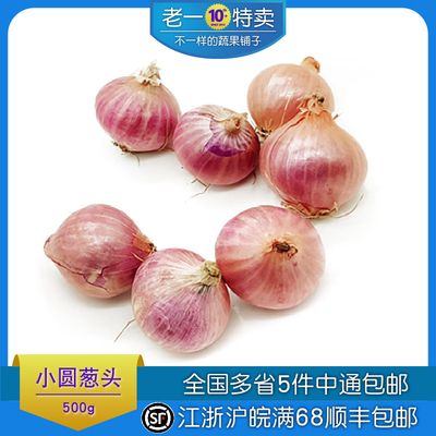 小洋葱圆葱头新鲜西餐调料