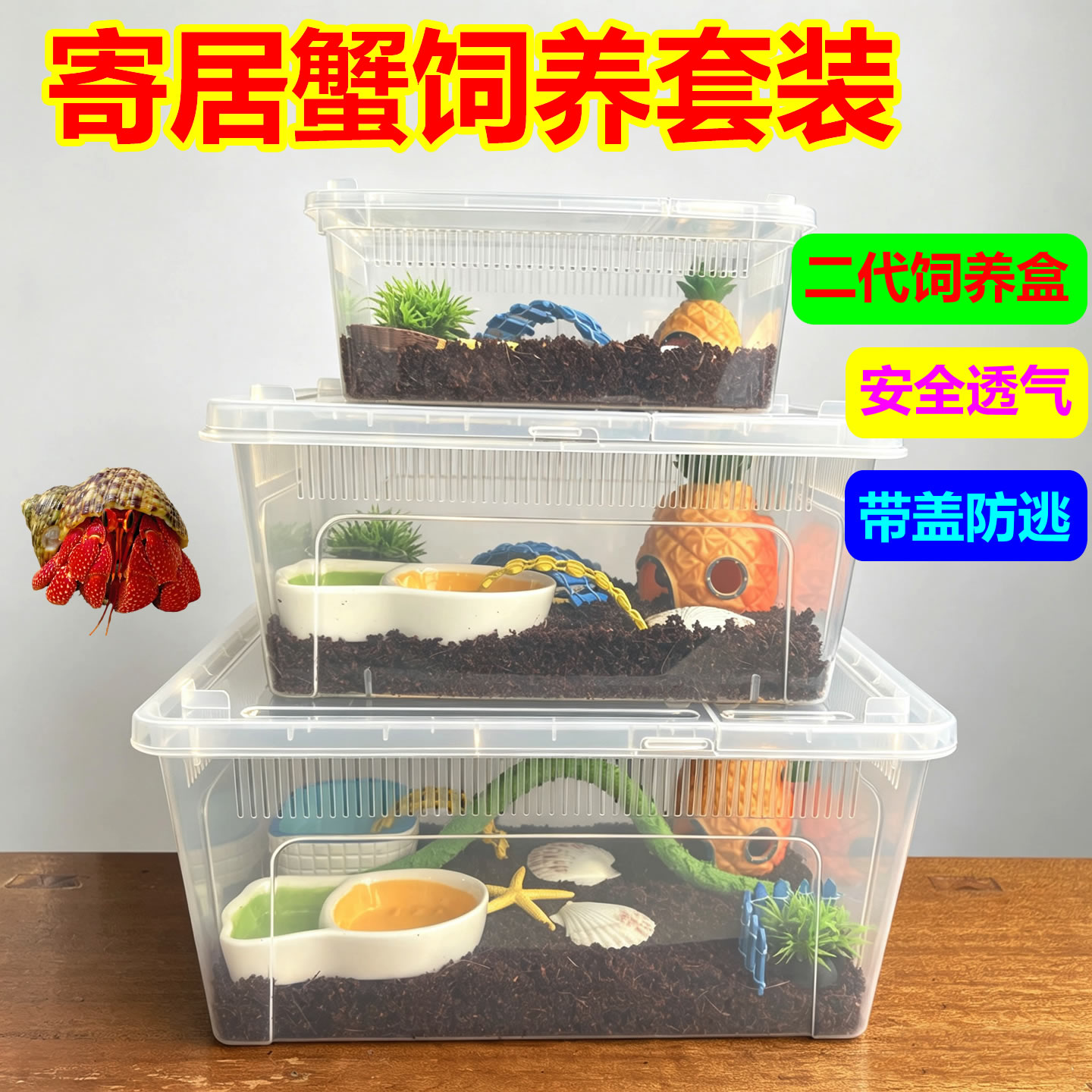 寄居蟹饲养套装新手入门饲养箱