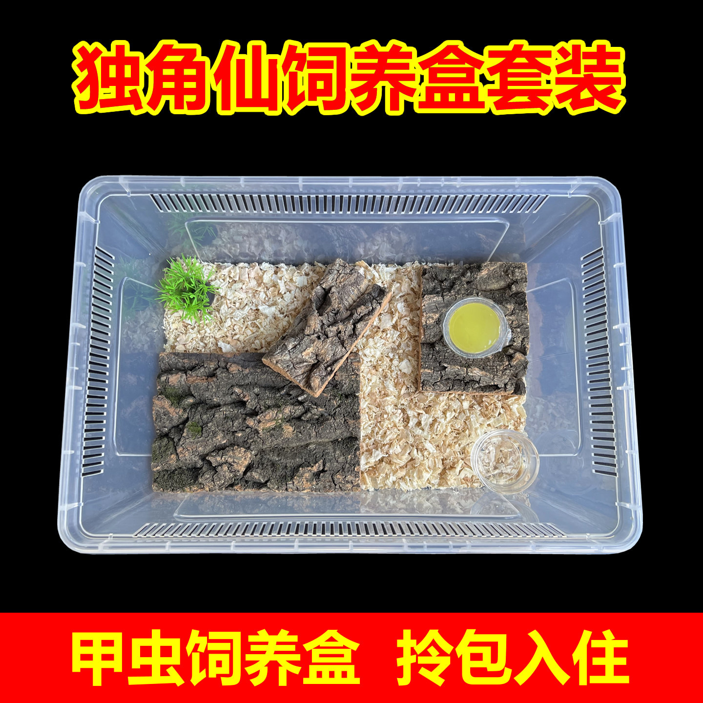 甲虫饲养盒套装成虫独角仙饲养箱图片