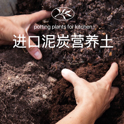 压缩营养土育苗块非jiffy基质椰糠泥炭土蔬菜花卉多肉园艺播种土