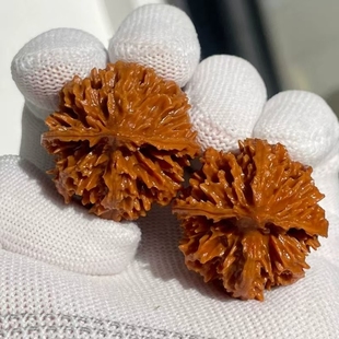 文玩小核桃男女款迷你小尺寸秦岭野生秋子粗筋八棱圆灯笼小手捻