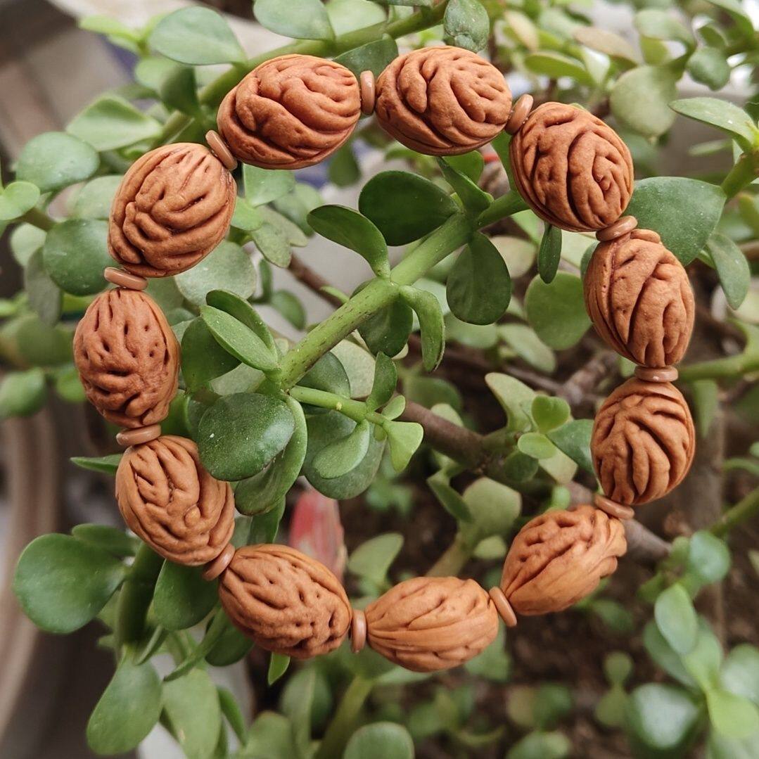 天然野生红皮高油高密桃枭手串碧桃核手串同树桃核手串男女通用