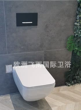 德国唯宝凡蒂乐入暗装马桶