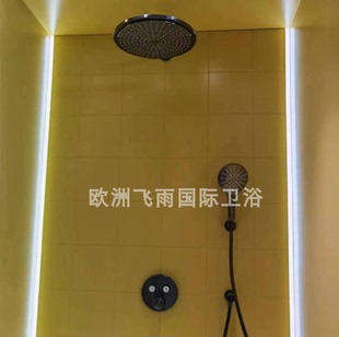 26557000 26066AL0 进口瑞雨系列310头顶恒温花洒淋浴套装 德国原装