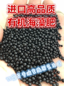 77家美国进口绿色有机认证海藻肥颗粒蔬菜绿植花卉皆可使用效果好