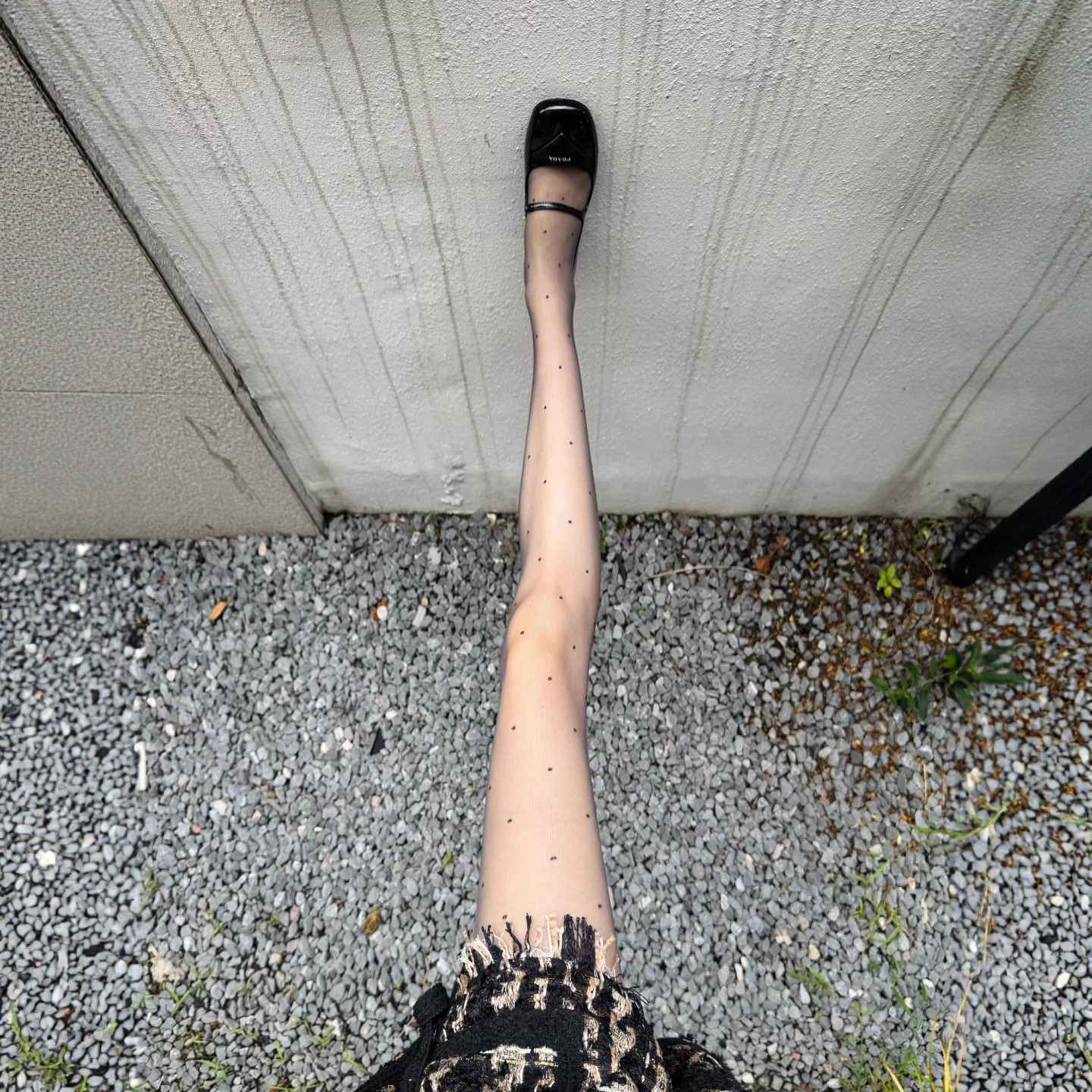 真的真的！！经典更值得买！.辣妹红色爱心复古丝袜0d波点黑丝,女士内衣/男士内衣/家居服,连裤袜/打底袜,淘宝优惠券,粉丝福利购,淘宝优惠卷