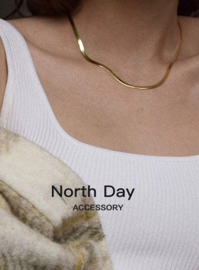 northday基础款钛钢蛇骨链女