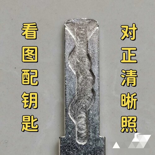 雅迪爱玛台铃小牛绿源新日立马小刀小鸟电动车钥匙远程拍照开齿配