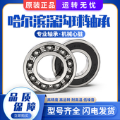6202 62082RS 6203 6205 哈尔滨轴承6201 6207 6204 6206