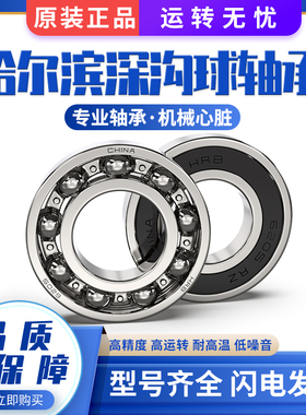 哈尔滨轴承6201 6202 6203 6204 6205 6206 6207 62082RS/RZ