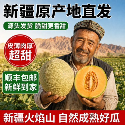 新疆哈密瓜原产地发货