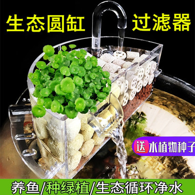 圆形玻璃鱼缸过滤器循环滴流盒