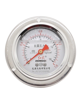 红旗仪表厂家直销YTN-60ZT轴向带边耐震压力表螺纹外径14特殊备注