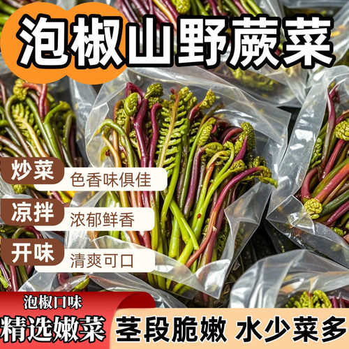 泡椒山野菜蕨菜下酒菜凉拌清炒餐馆风味小菜休闲食品开袋即食商用