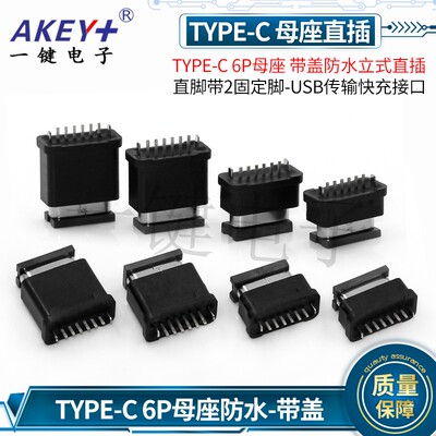 TYPEC 6P母座 带盖防水立式直脚直插带2固定脚-USB传输快充接口