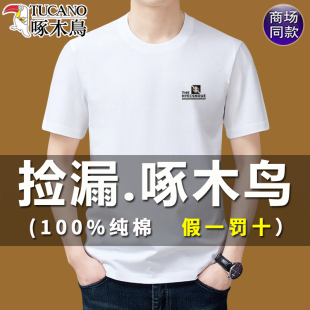 潮流圆领上衣休闲凉感全棉体恤衫 啄木鸟男士 新款 t恤纯棉夏季 短袖