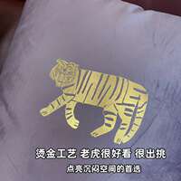 Surplus export bulk goods: throw pillows, backrest pillows, waist pillows, sofa decoration pillows, environmentally friendly (including pillow cores with zippers for disassembly and washing) thumbnail 8