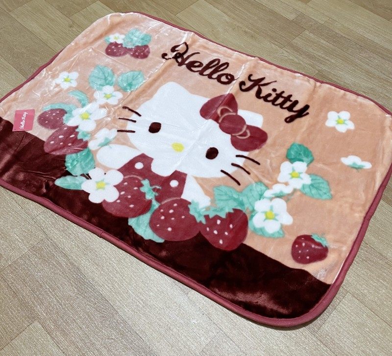 日本原单 厚实柔软卡通云毯 毛毯盖毯推车毯子拉舍尔宠物毯猫