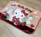 日本原单 毛毯盖毯推车毯子拉舍尔宠物毯猫 厚实柔软卡通云毯