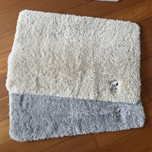 出口尾货 小狗地垫 浴室垫子进门垫床边垫加厚地毯（防滑耐磨）